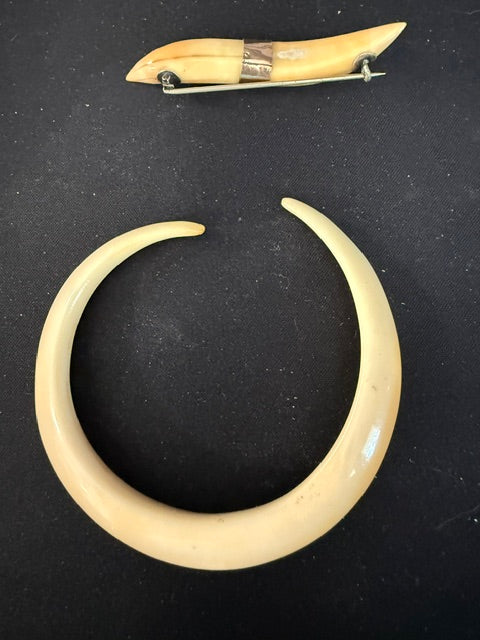 Rare spiral wild boar tusk and early hunting brooch displayed together on a black background