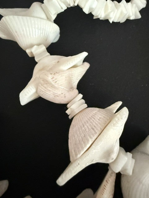 Close-up of large whelk shells showing sculptural form