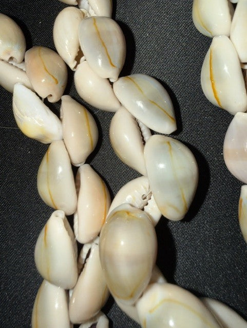 Vintage gray cowrie shell necklace, detail view