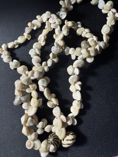 Vintage 36-inch mixed micro-shell necklace full view showing dense cream shell stringing with Zebra Nerite accents