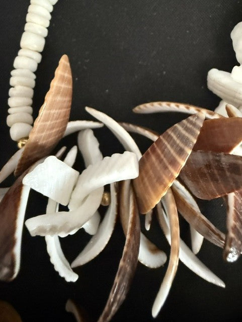 Close-up of mixed shell cluster station with auger spires and white shell pieces
