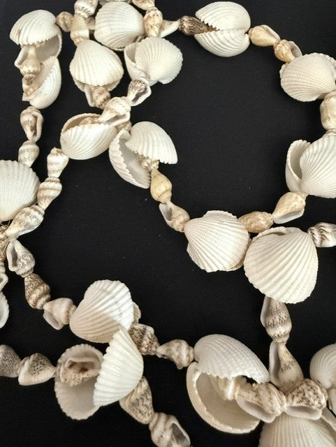 Full view of 36 inch mixed cockle and spiral shell necklace