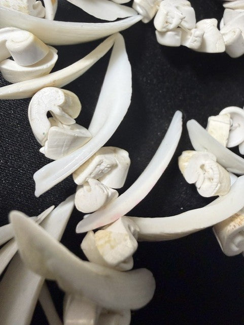 Detail of hand-assembled shell rosette clusters with elongated shell petal accents