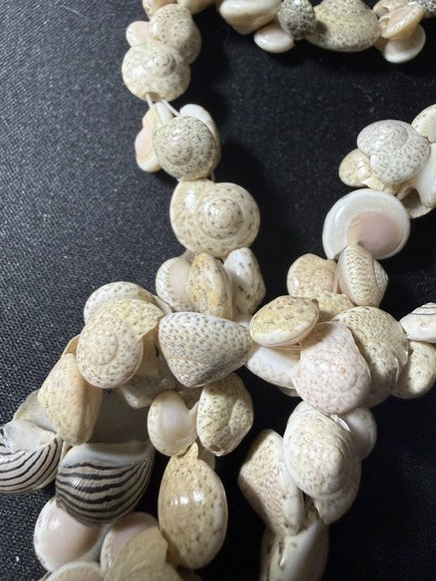 Close-up of dense shell stringing showing variety of micro-shell species and Zebra Nerite accent shells