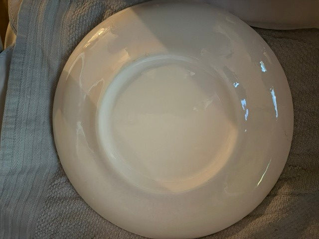 12 inch chop plate - back view