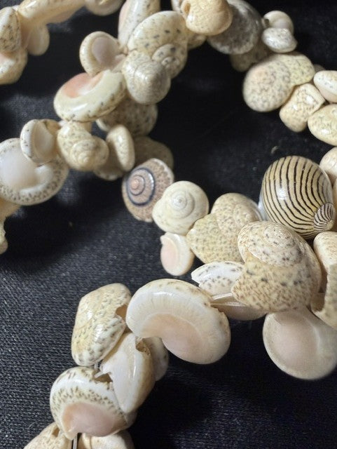 Detail of mixed shell necklace showing Nerite snails, Turban shells, and Limpet shells in cream palette