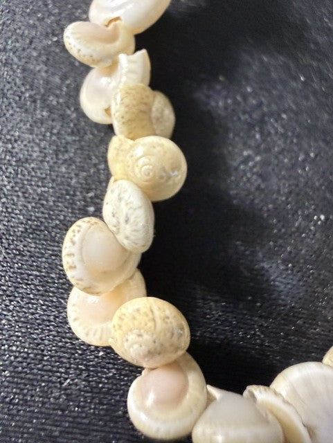 Vintage whole snail shell stretch bracelet, close-up detail