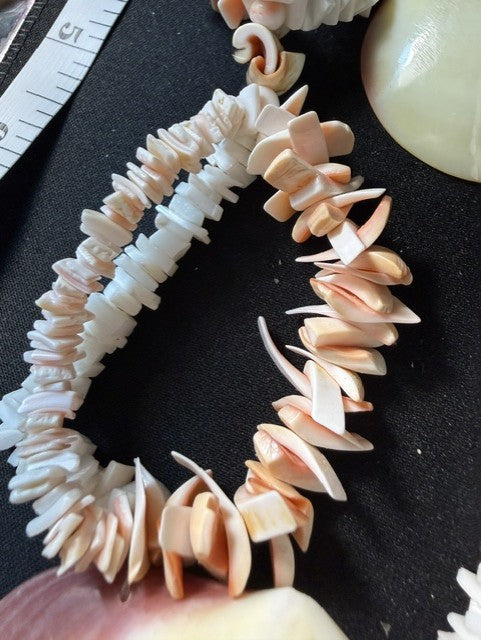 Detail of domed clam shell earrings on silver-tone shepherd hooks