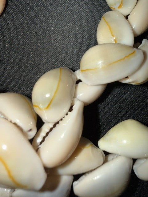 Vintage gray cowrie shell necklace, close-up of shells