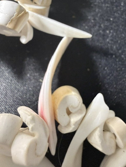 Close-up of marginella shell rosette cluster showing natural pink blush interior on spiral shells