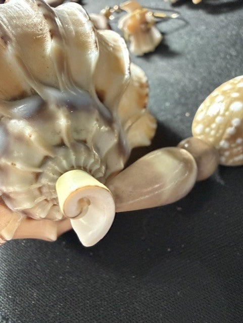Full set showing necklace, earrings and centerpiece shell