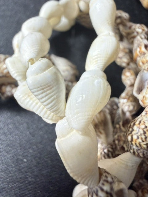 Close-up of white Marginella shells alternating with brown patterned Mitra shells, tip-to-tip stringing