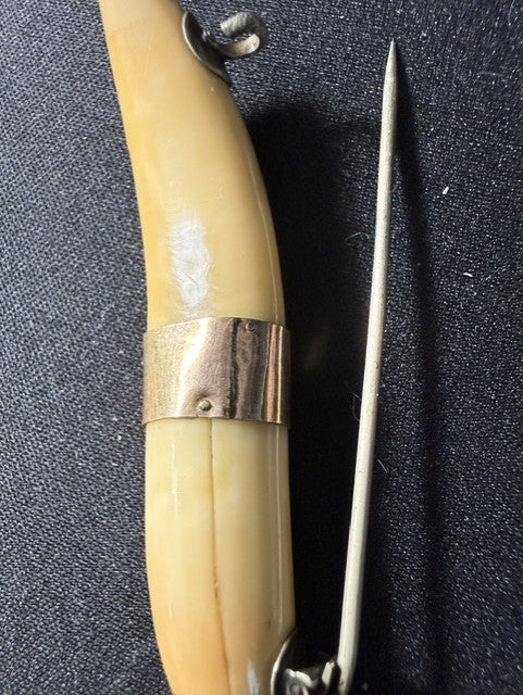 Antique Victorian Wild Boar Tusk Brooch Pin – Late 1800s Sporting Jewelry