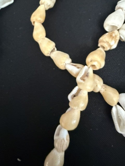 Detail of natural spiral shells and cowrie accents