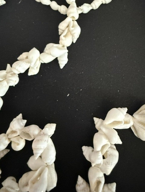 Close-up of five-shell flower clusters on spiral shell lei