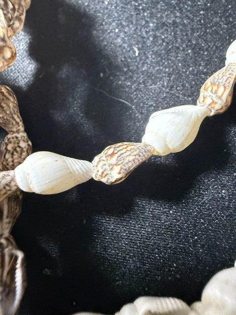 Detail of alternating brown and white shell pattern showing consistent tip-to-tip stringing