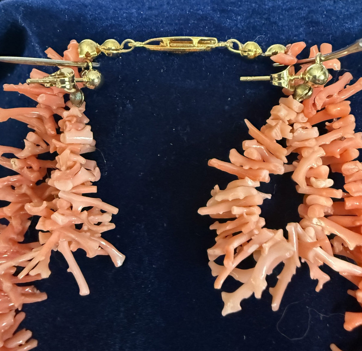 A pair of coral drop earrings with gold-tone posts and hooks, displayed on a dark blue velvet jewelry box.
