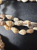 Close-up of brown patterned Mitra shells showing bold flame and tiger patterning in warm brown and cream