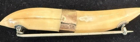Antique Victorian wild boar tusk brooch pin, full front view showing pin mechanism and gold-tone collar