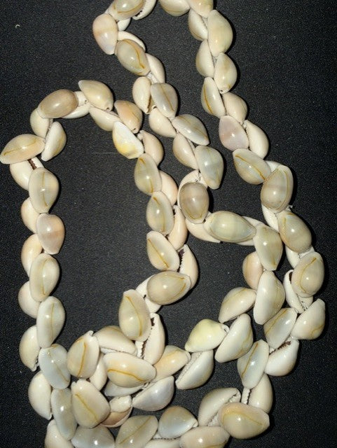 Vintage gray cowrie shell necklace, full strand view