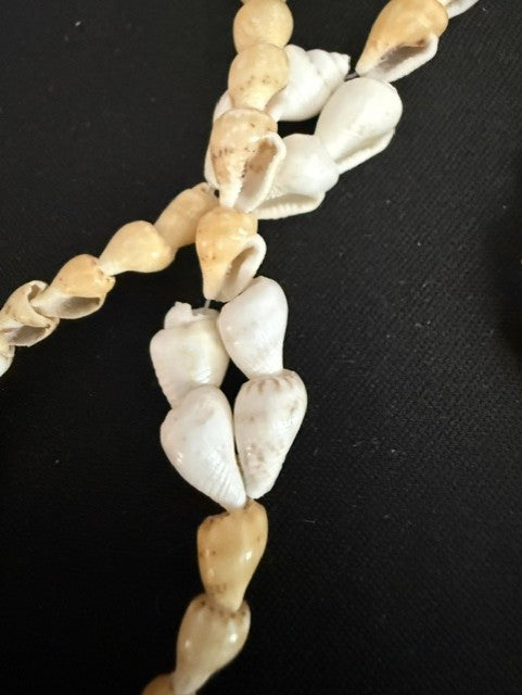 Close-up of cowrie shell cluster accents on spiral shell lei