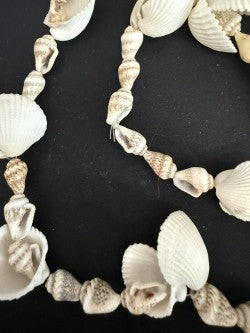 Close-up detail of cockle and spiral cone shells