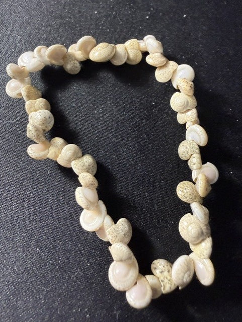 Vintage whole snail shell stretch bracelet, full view