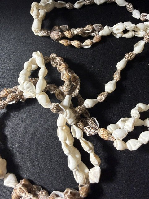 Vintage two-tone shell necklace full view showing alternating brown Mitra and white Marginella shells