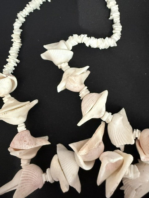 Full view of 22 inch whole whelk shell statement necklace