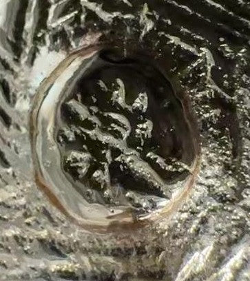 Close-up detail of vintage oval clip-on earring back